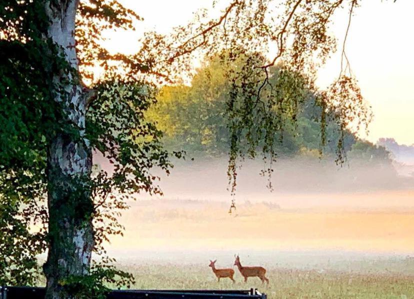 Meiks Ostseehuetten